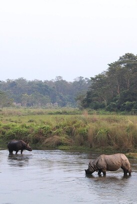 Nature and Wildlife Tour